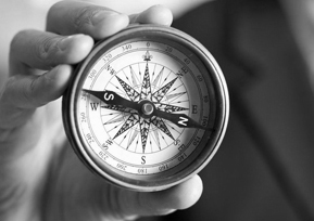 Resources & Insights